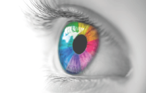 Avatar du professionnel MULTIPLAN