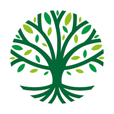 Avatar du professionnel JOSHUA MENDES PAYSAGISTE