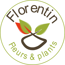Avatar du professionnel FLORENTIN FLEURS & PLANTS