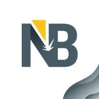 Avatar du professionnel NB SOUDURE LASER