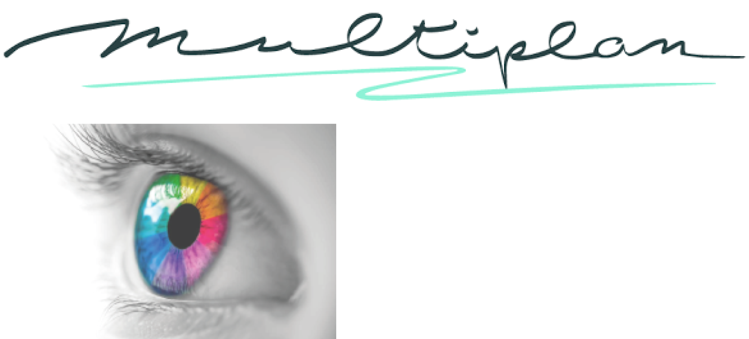 Photo du professionnel MULTIPLAN